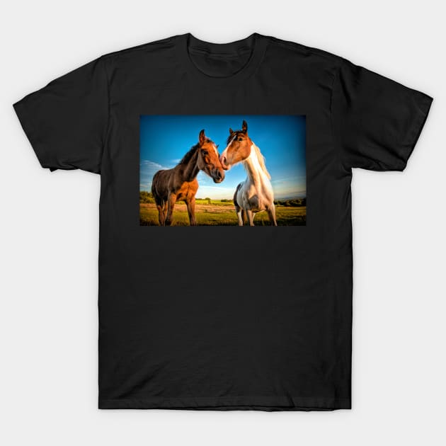 Companions#2 T-Shirt by RJDowns